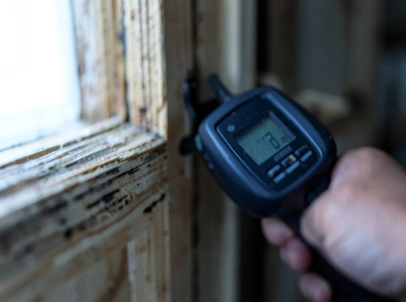 Moisture Inspection And Documentation in Windsor, CO